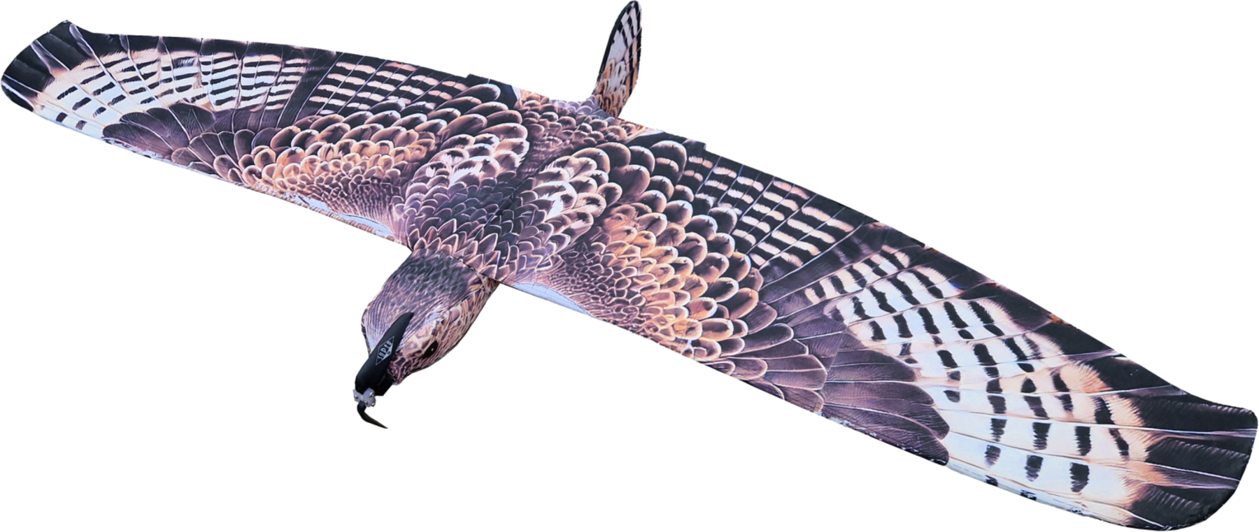 Fixed-wing airframe in a bird-of-prey livery, the kind of platform BeastCAM S flies on
